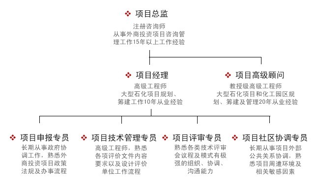 项目团队